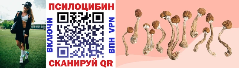 Галлюциногенные грибы мухоморы  купить наркоту  Фурманов 